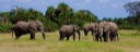 amboseli national park activities, amboseli, national, park, activities, what, to, see, do,
