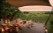 ACCOMMODATION IN MASAI MARA