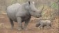 attractions ion meru national park 