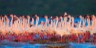 lake nakuru flights, lodges, hotels
