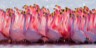 lake, nakuru, national, park, attractions, lodges, activities,