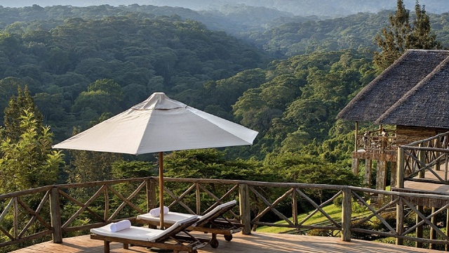 neptune-ngorongoro-pool1