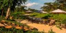Ishasha-Wilderness-Camp