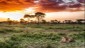 ATTRACTIONS SERENGETI NATIONAL PARK