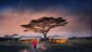 TENTED CAMPS SERENGETI NATIONAL PARK