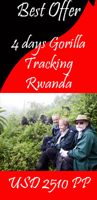 Gorilla Tracking Rwanda 4 days speicial best offers