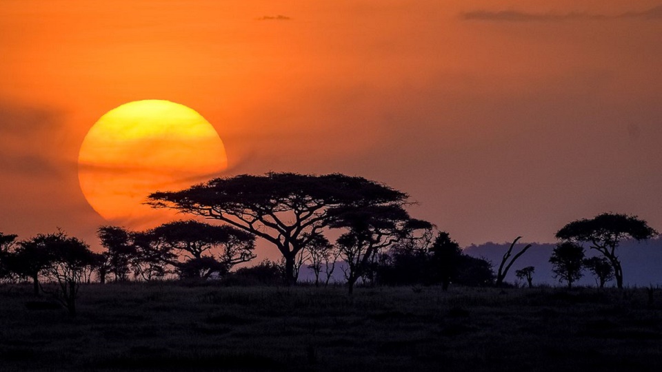 serengeti national park attractions, attractions serengeti national park, activities serengeti national park , serengeti national park activities, serengeti, national park, serengeti national park, serengeti national park accommodation, lodges, tented camps, where to stay, what to do, lake ndutu, ndutu, oldeani gorge, olduvai gorge, lake natron, best offers, rates, discounts, top, range, famous, luxury, luxurious, popular, luxury lodges, tented camps, camping