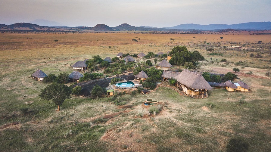 attractions in kidepo valley national park, kidepo valley national park attractions, attractions kidepo valley national park, kidepo valley national park activities, activities kidepo valley national park, activities in kidepo valley national park, accommodation in kidepo valley national park, kidepo valley national park, where to stay kidepo valley national park, what to do, what to see, kidepo valley national park lodges, kidepo valley national park safaris, kidepo valley national park safari,kidepo valley national park kenya, lodges kidepo valley national park, kidepo valley national park lodes, kidepo valley national park hotels,safari,safaris,holidays,hotels, lodges, attractions, kidepo valley, kidepo, valley, kidepo valley park,kidepo valley game park,camping, campsites, birds, birdwalk, mammals, serena mt lodge, ngorongoro, bwindi, murchison falls, mgahinga, apoka safari lodge, apoka lodge, apoka hotel, narus valley, lotukei mountains, morungole, napore-nyagia mountain, natira, lokayot, kakine Campsite, apoka campsite, hills, car hire, car rental, nairobi, malindi, mombasa, kilimanjaro, arusha, antebbe, kigali, holidays, vacations, national parks, Meru, Samburu, Lake Nakuru, tsavo East, tsavo West, masai mara, serengeti,  rwanda volcanoes, national parks