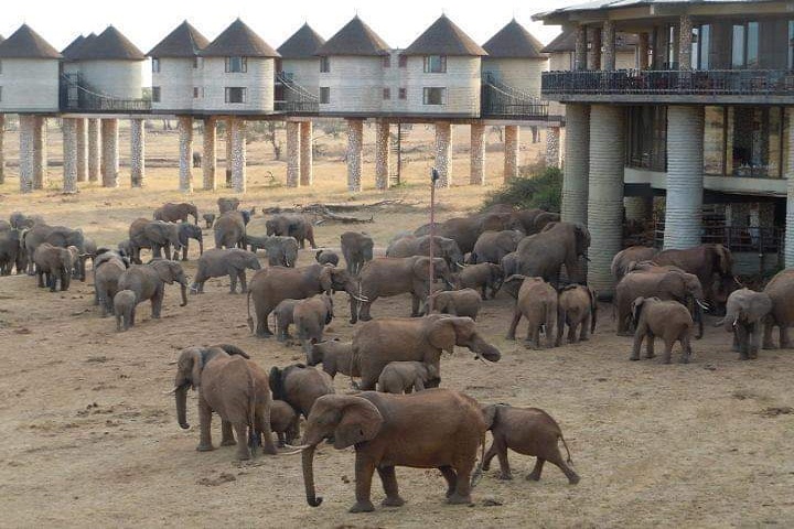 tsavo west national park attractions, tsavo west national park activities,tsavo west, national park, tsavo west national park,  tsavo west national park accommodation, lodges, tented camps, where to stay, what to do