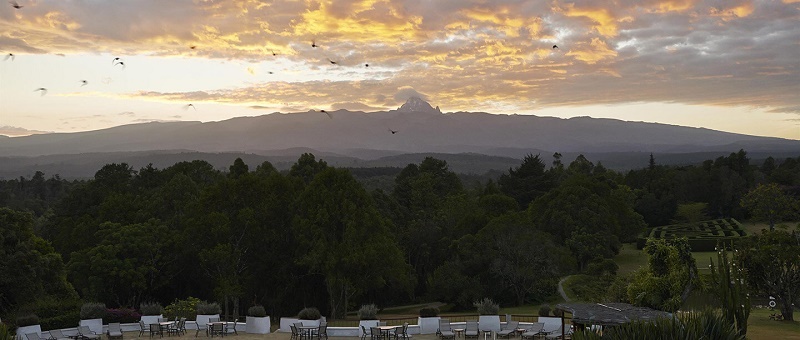 attractions in mt kenya national park, mt kenya national park attractions, attractions mt kenya national park, mt kenya national park activities, activities mt kenya national park, activities in mt kenya national park, accommodation in mt kenya national park, mt kenya national park, where to stay mt kenya national park, what to do, what to see, mt kenya national park lodges, mt kenya national park safaris, mt kenya national park safari,mt kenya national park kenya, lodges mt kenya national park, mt kenya national park lodes, mt kenya national park hotels,safari,safaris,holidays,hotels, lodges, attractions, mt kenya,kenya,mt kenya park,mt kenya game park,camping, campsites, birds, birdwalk, mammals, serena mt lodge, mt kenya safari club, treetops, naro moro river lodge, Il Ngwsei, Borana, Loisaba, Tassia, nyeri, hotels, outspan, lewa safari camp, sweet waters tented camp, ol pejeta, borana ranch, climate, car hire, car rental,Nairobi, Malindi, Mombasa, Kilimanjaro, Arusha, Entebbe, Kigali, holidays, vacations, national parks, Meru, Samburu, Lake Nakuru, Masai Mara, Tsavo East, Tsavo West, Masai Mara, Serengeti, Ngorongoro, Bwindi, Rwanda Volcanoes, national parks