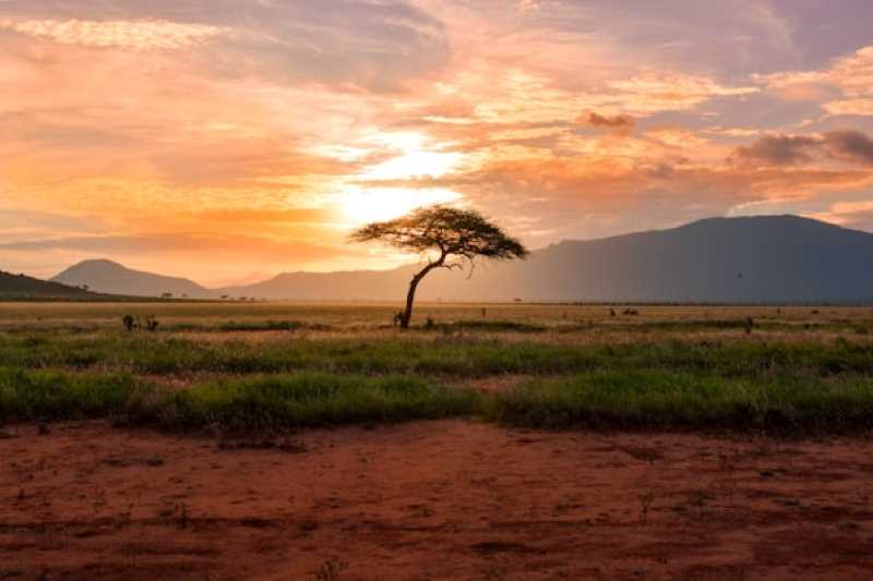 meru national park safaris, meru national park package tours, meru, national, park, wildlife, package, tours, safaris, best, offers, prices, price, list,