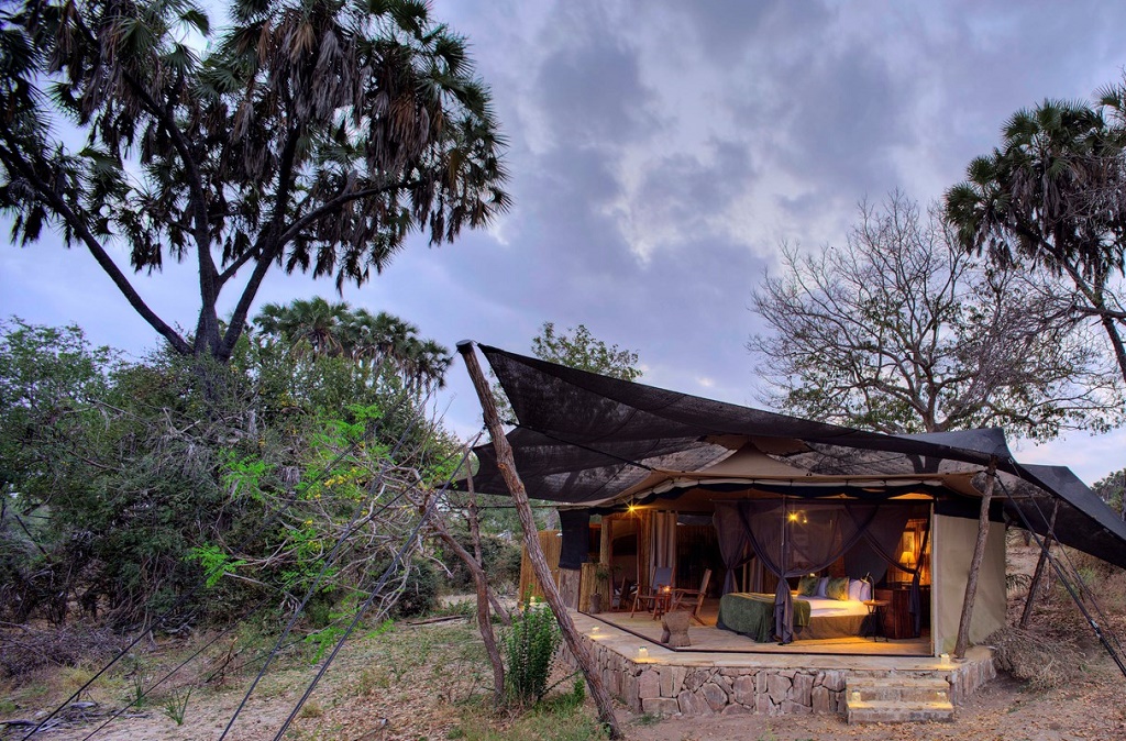 nyerere national park lodges, lodges nyerere national park, nyerere national park accommodation, accommodation nyerere national park, nyerere national park tented camps, top 10, tented camps nyerere national park, nyerere national park activities, activities nyerere national park, nyerere national park attractions, attractions nyerere national park,  wildebeest migration, nyerere game park, game park, nyerere park, nyerere safaris, safari, safaris, nyerere safari, safaris to nyerere, safaris to nyerere national park, fly to nyerere, accommodation, nyerere accommodation, accommodation in nyerere, activities, what to do, nyerere attractions, attractions, nyerere national park, tarangire, lake manyara, lake natron, Lake Ndutu, Oldeani Gorge, Olduvai, kilimanjaro, safari lodges nyerere, nyerere safari lodge, nyerere lodges, lodges in nyerere national park, self drive, car hire, car rental, hotels, camping nyerere, tree climbing lions, camping in nyerere, national, park, parks, camping, campsites, national park,