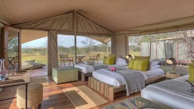 serengeti national park lodges, senrengeti nationa park accommodation, accommodation serengeti national park, serengeti, national, park, lodges, accommodation, attractions, activities, lodges serengeti national park, where to stay, Ngorongoro, Lake Manyara, Lake Natron, Tarangire, Singita, Lake Ndutu, Oldeani Gorge, Olduvai, Arusha and Kilimanjaro, overnight stay, best offers, discounted rates for luxury tented camps, popular famous hotels like Serengeti Serena USD 316, Kirwaira USD , Serengeti Katikati USD , Serengeti Under Canvas USD 370, Serengeti Migration Camp, Mkombe's House USD 1130, Lamai USD 1040, Singita Sabora USD 1562, Singita Faru Faru USD 1562, Sayari Serengeti USD1003, Sayari Mara River USD 1563, Lemala Kuria Hills USD 800, Namiri Plains Usd 863, Ubuntu Tented Camp Usd 638