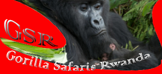 Aberdare national park reserve kenya