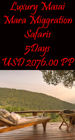 Wildebeest migration safari masai mara national park 5 days