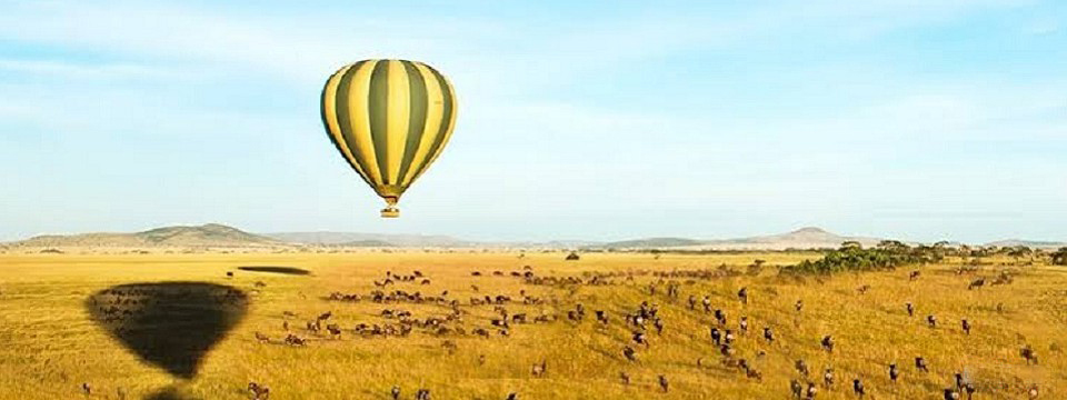 MASAI MARA NATIONAL PARK, BALLOON SAFARI, SAFARIS, RESERVE ACCOMMODATION LODGES, ATTRACTIONS, WHAT TO DO, WHERE TO STAY