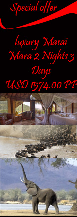 Special Best offer luxury masai mara wildebeest migration safari 2 nights